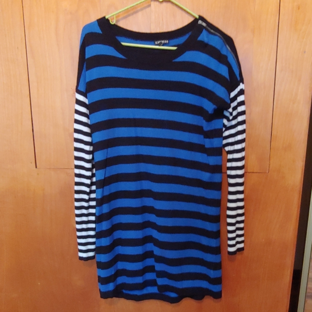 Express sweater dress